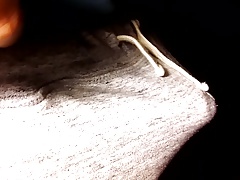 Young hard cock pops out of shorts 2