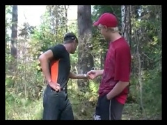 1 teasers in the forest