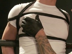 Clip, marionette, brand