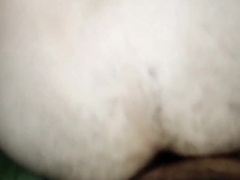 big black cock pummels wooly white fellow