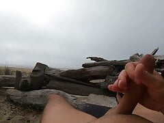 Cloudy beach day in dunes with dick