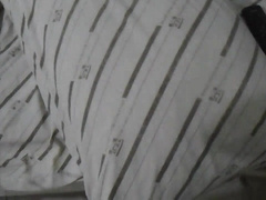 pals suspending out alone at home