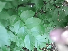Cumming on forest leaves