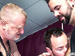 dickblowing polar cub barebacks youthfull otter