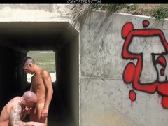 Scorched HD shirtlifter Porno