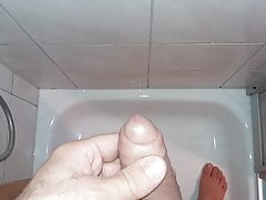 Penis