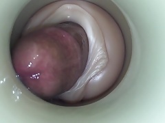 Cock Draining by cum cam man.