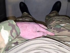 German bear, european, amateur military