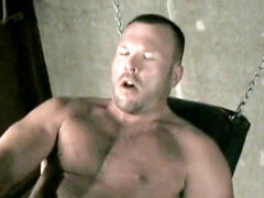 Dungeon, grizzly, daddies