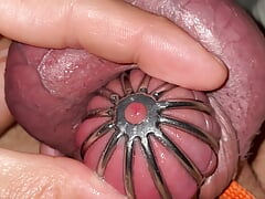 21 minutes of desperate masturbating in mini chastity cage without cum shot