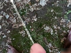 Pissing outside while getting stung on my dick by a mosquito