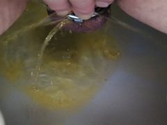 Pissing in Flat Cage with Lollipop Innie
