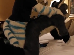Fursuit sex 42