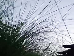 I went out to do mangal in the jungle in the morning // Watch full video, you will enjoy