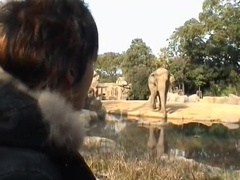 Horny Asian gay boys in Hottest rimming, fingering JAV video