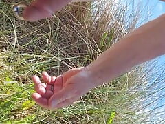 A walk through the dunes