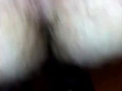 Hello KC!! Dane, Viking & a Ginger Cub 7