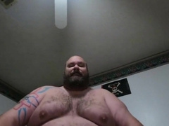 Big hairy Bear