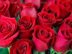 Bangladeshi gay action with Desi Mazaa featuring some big asses