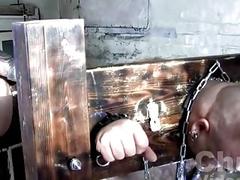 Big, furry bears in a BDSM scene