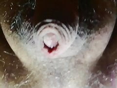 son trou du cul et sa ridicule petite bite.