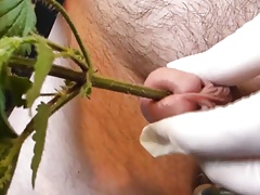 CBT - Nettles in my Pee Hole