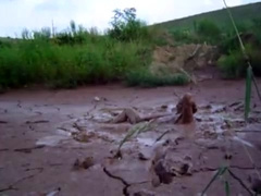 Erotic Mud Play