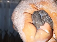 Biggest hammer in Africa cumming hard and hot