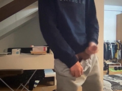 Grey Sweatpants Erection