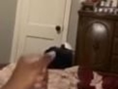 Young Bull Draining With Wordy Explosive Plums At End