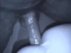 un soir a marrakech 3