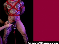 Otter Damian Dragon is tied and suffer from slapping and ball busting