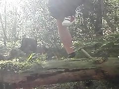 forest piss