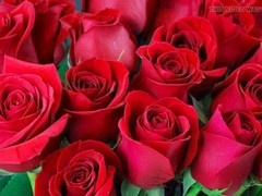 Ai, friends in bed, acquaintance