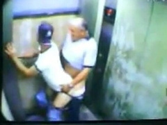 Daddy Bear and his Young Cub Caught on Camera2ee