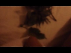 Stinging Nettles April 2017