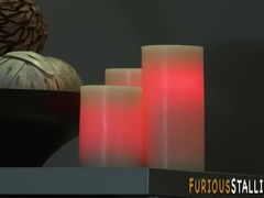 Hard Ripped draped tatted grizzly