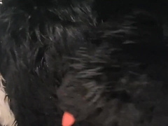 Smelly Fursuit Skunk Gas [Commission]