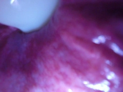 Inner Sight Immense Bad Dragon Flint Splays And Shoots A Load In My Caboose