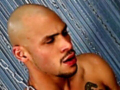 Gay love, hunk group, couple