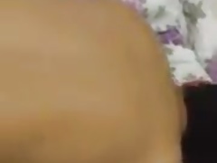 turk pasif 4