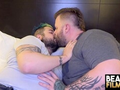 Fat bears, bear pup, chubby bears