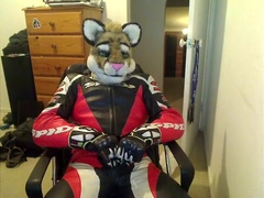 Sli paws off in motorcycle leathers
