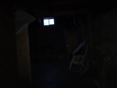 Spunk Hunters - Scene 3