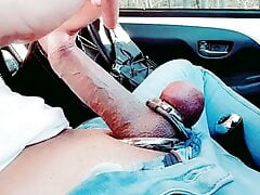 Slutboyben CAM4 Sexy Horse Cock in Public