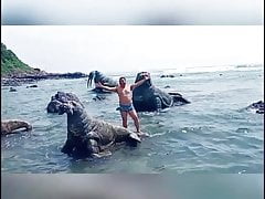 China Chubby Bear Beach Swimming Trunk Show