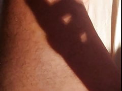 Shadow puppet