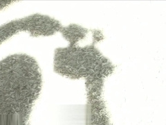 Photosession Video - Matthew McEwan