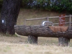 A young gay having a good wank in public 7