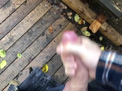 Risky Public Hand-Job - Older Cabin